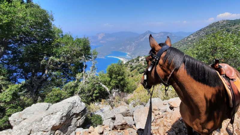 kayakoy horse tour fethiye
